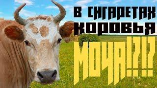 СИГАРЕТЫ. Из чего ДЕЛАЮТ? (почему я БРОСИЛ ИХ КУРИТЬ!?)