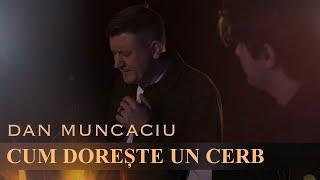 Dan Muncaciu - Cum doreste-un cerb (Oficial Video)