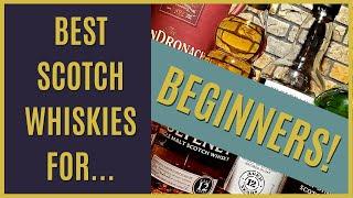 Best Scotch Whiskies for Beginners - 2021