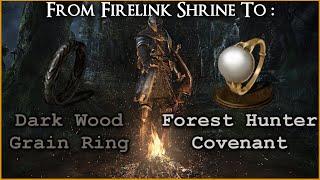 Forest Covenant and Dark Wood Grain Ring Location [From Firelink Shrine] - DS Remastered