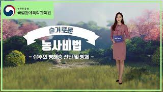 [#원예농업기술서비스] 삽주 병해충 진단 및 방제ㅣ약용작물과ㅣ인삼특작부ㅣ국립원예특작과학원