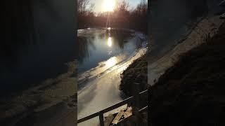 В Музыке только гармония есть! - Слушайте музыку! - это голосом Сенчиной с нами Бог говорит!..🪗️