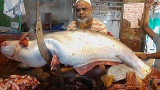 Gain Fish Cutting Skills | Unique Big Fish Cutting Skills | Cutting BD