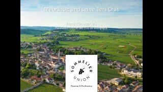 Burgund – Meursault und sein 1ers Crus