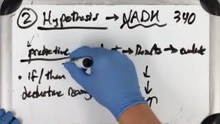 Scientific Method