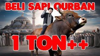 SAPI QURBAN RAKSASA..!