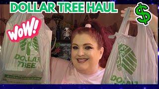 DOLLAR TREE HAUL | AMAZING NEW FINDS | March 11, 2025