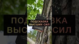 ПОДСКАЗКА ВЫСШИХ СИЛ