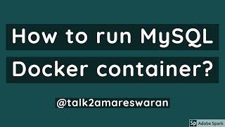 How to run MySQL Docker container?