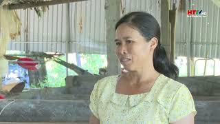 NNNT NUÔI LƯƠN KHÔNG BÙN, HƯỚNG ĐI PHÙ HỢP 2024