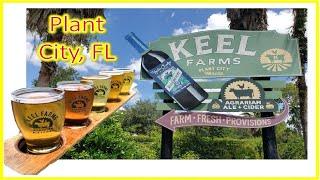 Discover Keel & Curly Farm: The Ultimate Family Destination in Plant City, Florida