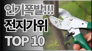 전지가위 추천 TOP10 아무거나 사지 마세요 제발요! 돈낭비 그만! 2024년 역대급 가성비 인기 최신순위 (알리익스프레스 해외직구)