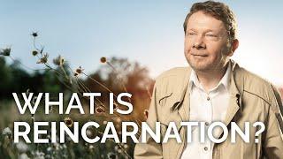 What is Reincarnation? with Eckhart Tolle