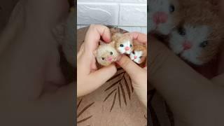 Мастер класс котики батончики спицы в контакте