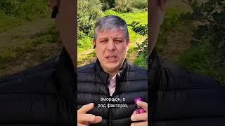 ознаки нестачі колагену в організмі