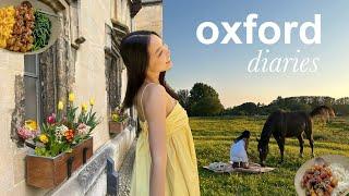 oxford diaries  that summer feeling, coping with fear of change, being productive