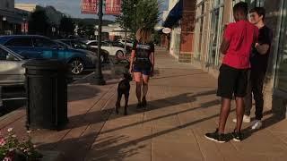 11 month old Doberman, Diva||| Lehigh Valley Dog Trainers: Best Doberman Obedience Trainers