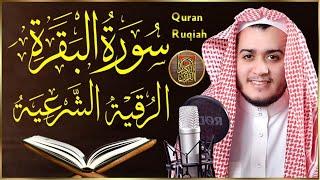 سورة البقرة القارئ علاء عقل - تلاوة خاشعة - Surah Al Baqarah Alaa Akl