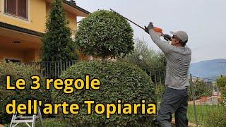 Segreti dell'Arte Topiaria: Guida Pratica per Creare Cuscini e Forme Geometriche nel Giardino