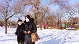 [4K] Walking Korea Seoul forest Park I winter I stroll 서울숲 산책 도보투어binaural city sound ASMR