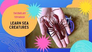 Learn Sea creatures names for toddlers in English with The Darling Toy House