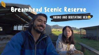 Bream Head Coast Walks | Hiking and Irritating her  | Travelogue | New Zealand | Trek | Hikes