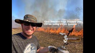 Cory Stevens On Using VSH Virgin Queens