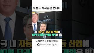 트럼프 관세정책 광고한 현대차 정의선 회장, 미국 투자규모