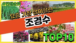 조경수 추천 판매순위 Top10 || 가격 평점 후기 비교0 조경수 동영상