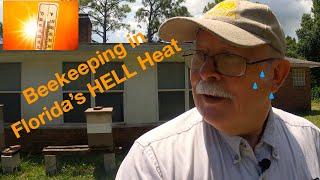 Helping and Working Bees in Florida Heat