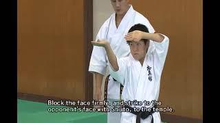 Kyokushin Kata Explanation - Pinan Sono Yon (4)