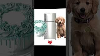 Dog fridge and cake  dog in fridge eating cake ️‍🩹 #edit #dog #fyp #trend