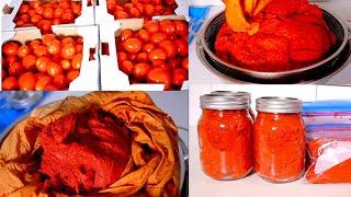 HOW TO STORE FRESH TOMATOES UPTO A YEAR | HOMEMADE TOMATO PASTE RECIPE | FRESH TOMATOES PRESERVATION