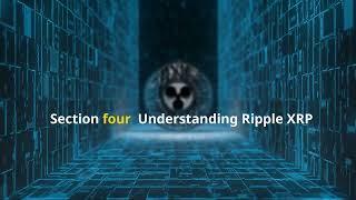 Ripple XRP Price Analysis  | What to Know about Ripple