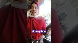 Cara membunuh ikan gabus #vedeoshort#ikangabus#lkanews