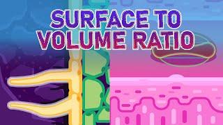 What are Specialized Cells and What is Surface to Volume Ratio?