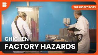Unsanitary Poultry Factory Inspection - The Inspectors - S03 EP05 - Reality TV