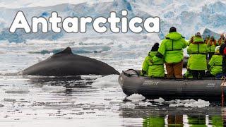 HUMPBACK whale almost capsizes our boat in Antarctic ..