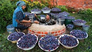 Long Term Prune Plums Preservation Without a Refrigerator 