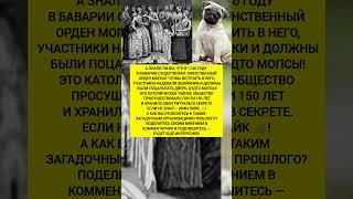 Орден мопса — тайное общество в Баварии! Интересные факты и история. #история #факты #тренды