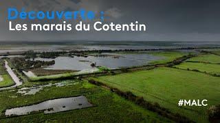 Découverte : les enfants des marais du Cotentin