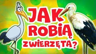 Jak robią zwierzęta? Odgłosy zwierząt || Bajki dla dzieci po polsku