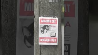 UNCANNY VALLEY - THE MISSING CAT  #uncannyvalley #trend