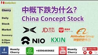 1st Dec 2020 Homily Cherry Market Summary 中概下跌为什么？China Concept Stock ∣BABA ∣JD ∣PDD ∣DBS ∣NIO ∣KLCI