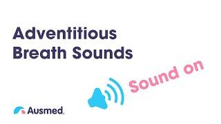 Adventitious Breath Sounds: Stridor, Wheezes / Rhonchi, Crackles / Rales and Pleural Rub | Ausmed