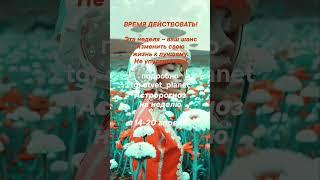 https://t.me/otvet_planet/64 #эзотерика #таро #психология #астрология #отношения #астропрогноз #марс