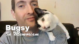 Bugsy - In Memoriam