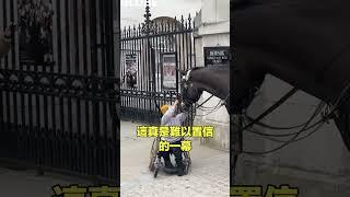 靈性的軍馬......|自說自話的總裁