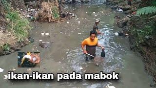 teradisi di kampung cinangsi kalo musim kemaraw panjang / ngagugurul ato marak ikan