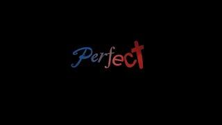 Perfect by Zoe Swanson